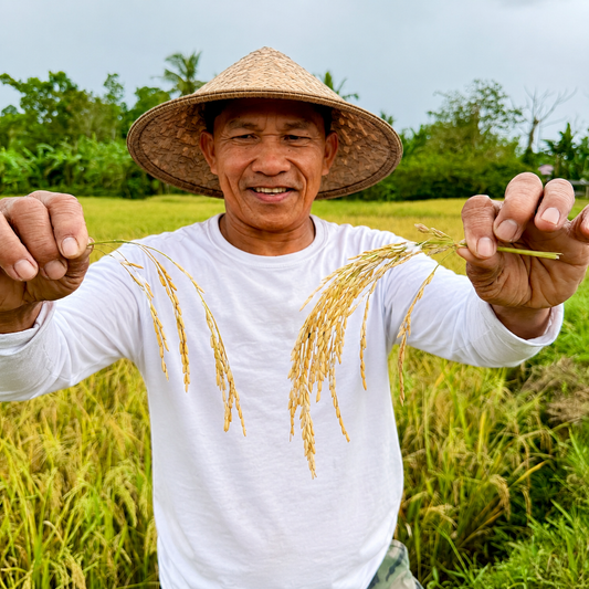 Support Tatay Tony's Rice Farming